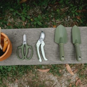 Chilli Gardening Equipment